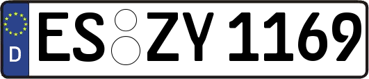 ES-ZY1169