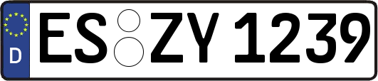 ES-ZY1239