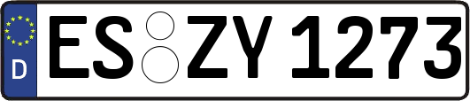 ES-ZY1273