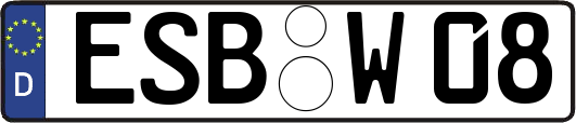 ESB-W08