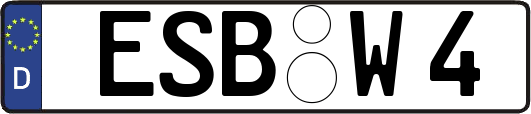 ESB-W4