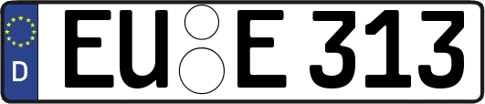 EU-E313
