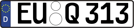 EU-Q313