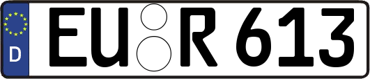 EU-R613