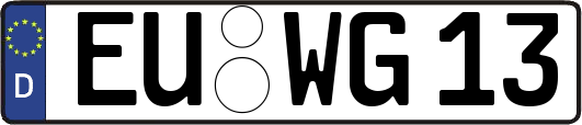 EU-WG13
