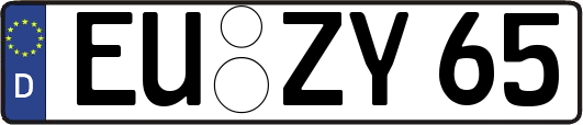 EU-ZY65