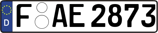 F-AE2873