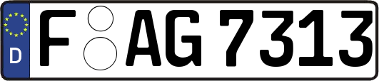 F-AG7313