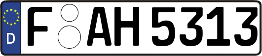 F-AH5313