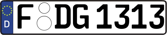 F-DG1313