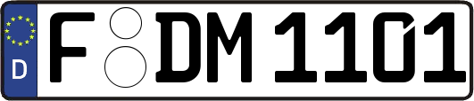 F-DM1101