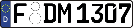F-DM1307