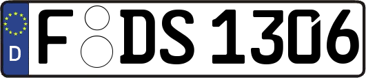 F-DS1306