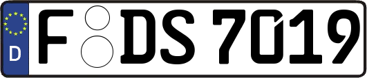 F-DS7019