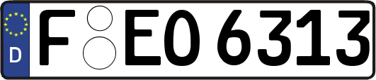 F-EO6313