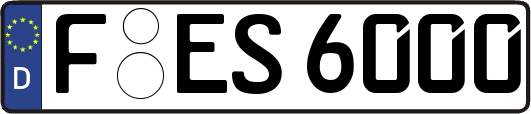 F-ES6000