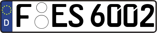 F-ES6002