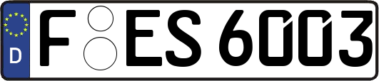 F-ES6003