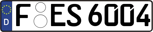 F-ES6004