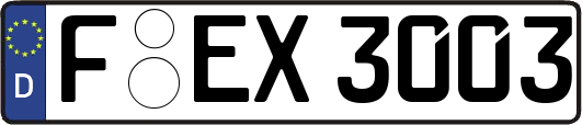 F-EX3003