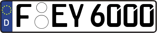 F-EY6000