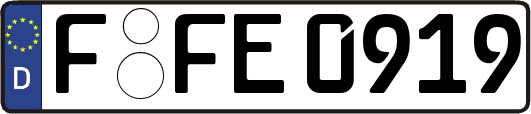 F-FE0919
