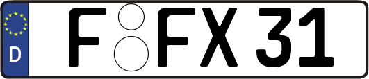 F-FX31