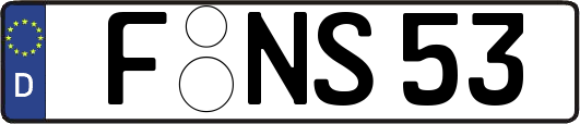 F-NS53