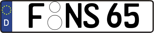 F-NS65
