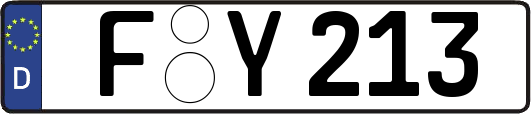 F-Y213