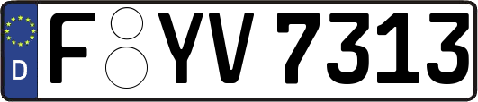 F-YV7313