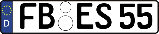 FB-ES55