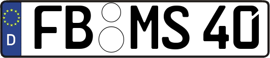 FB-MS40