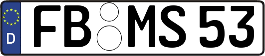 FB-MS53
