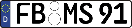 FB-MS91