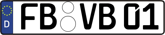 FB-VB01