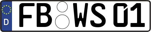 FB-WS01