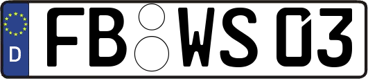 FB-WS03