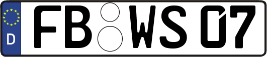FB-WS07