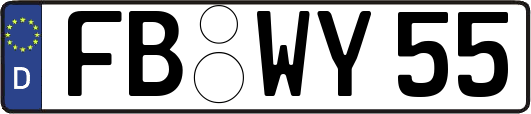 FB-WY55