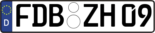 FDB-ZH09