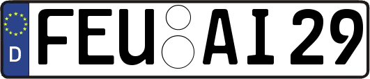 FEU-AI29