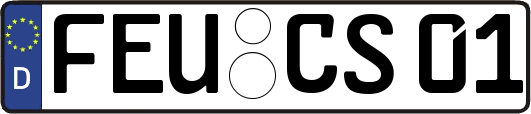 FEU-CS01