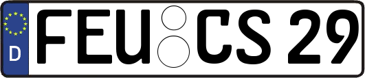 FEU-CS29