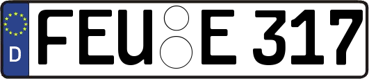 FEU-E317