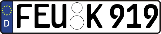 FEU-K919
