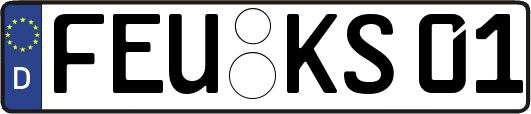 FEU-KS01