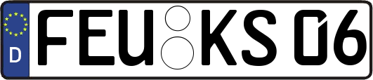 FEU-KS06