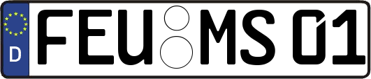 FEU-MS01