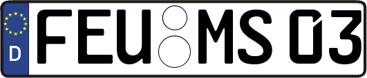FEU-MS03